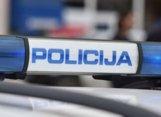 Dramatični dogodki v Mokronogu: Požari, granate in reševanje psov