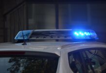 Osumljenka napada v Šentjerneju: Preiskava razkriva nove podrobnosti