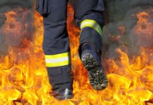 Gasilci v Trebnjem uspešno pogasili gozdni požar pri Račjem selu