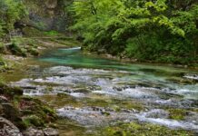 Tragična nesreča na Savi: Sprva so poročali o smrti treh migrantov med prečkanjem reke