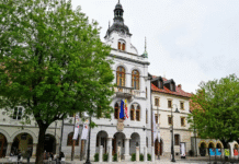 Proračunska seja v Novem mestu: Presežki, primanjkljaji in naložbe