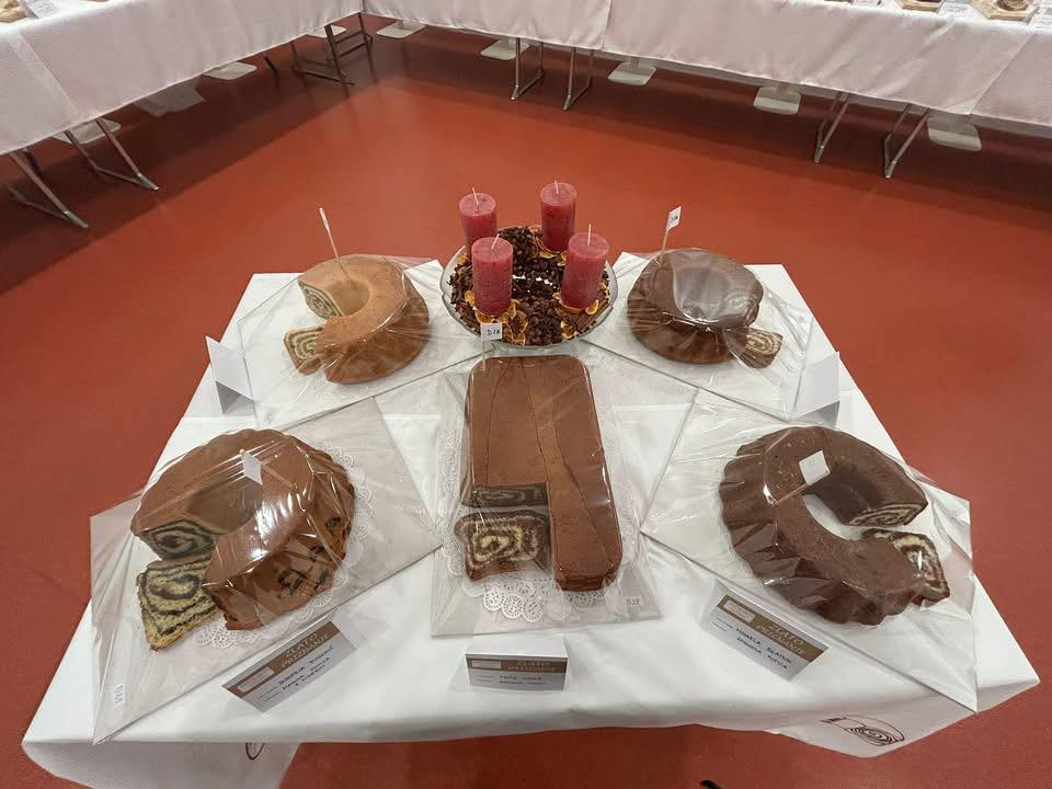 Ocenjevanje potic Šentjernej