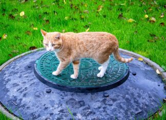 Rok za vgradnjo čistilne naprave danes: Preverite, ali vas čaka kazen!