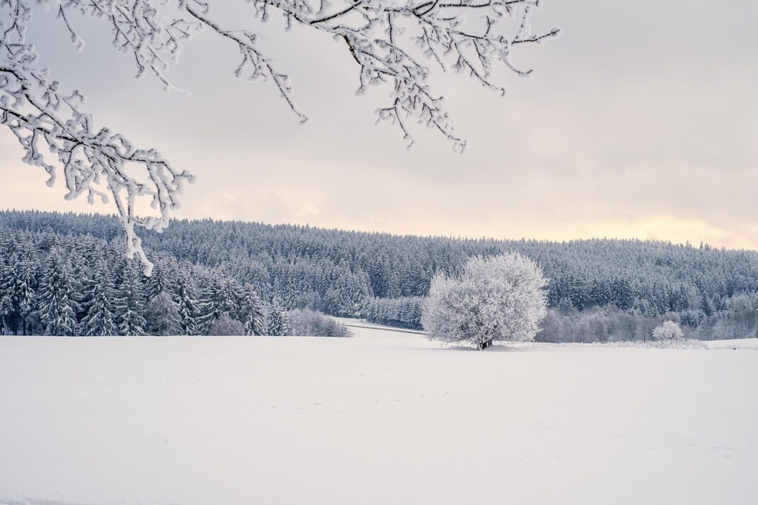 snow-and-cold