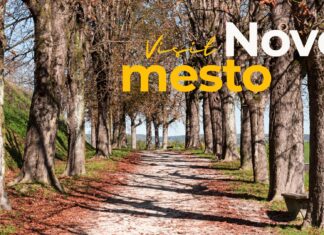 Prometni kaos v Novem mestu: Enosmerna Seidlova cesta ohromila mesto