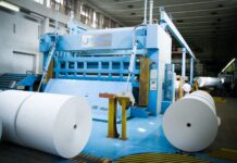 Nov zagon za Krško: Stečaj Vipapa odpira nove karierne poti