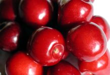 Inovativni pristopi Evrosada za trajnostni razvoj podeželja #foto