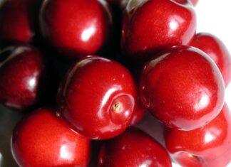 Inovativni pristopi Evrosada za trajnostni razvoj podeželja #foto