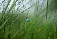 Odpadki še vedno izziv za Zelene straže na OŠ Otočec