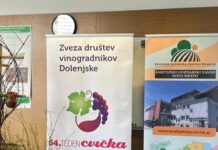 Andrej Grabnar ponovno kralj cvička z rekordnim pridelkom