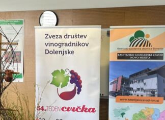 Andrej Grabnar ponovno kralj cvička z rekordnim pridelkom