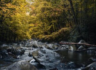 Granata iz druge svetovne vojne najdena v potoku pri Novem mestu